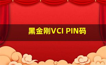 黑金刚VCI PIN码